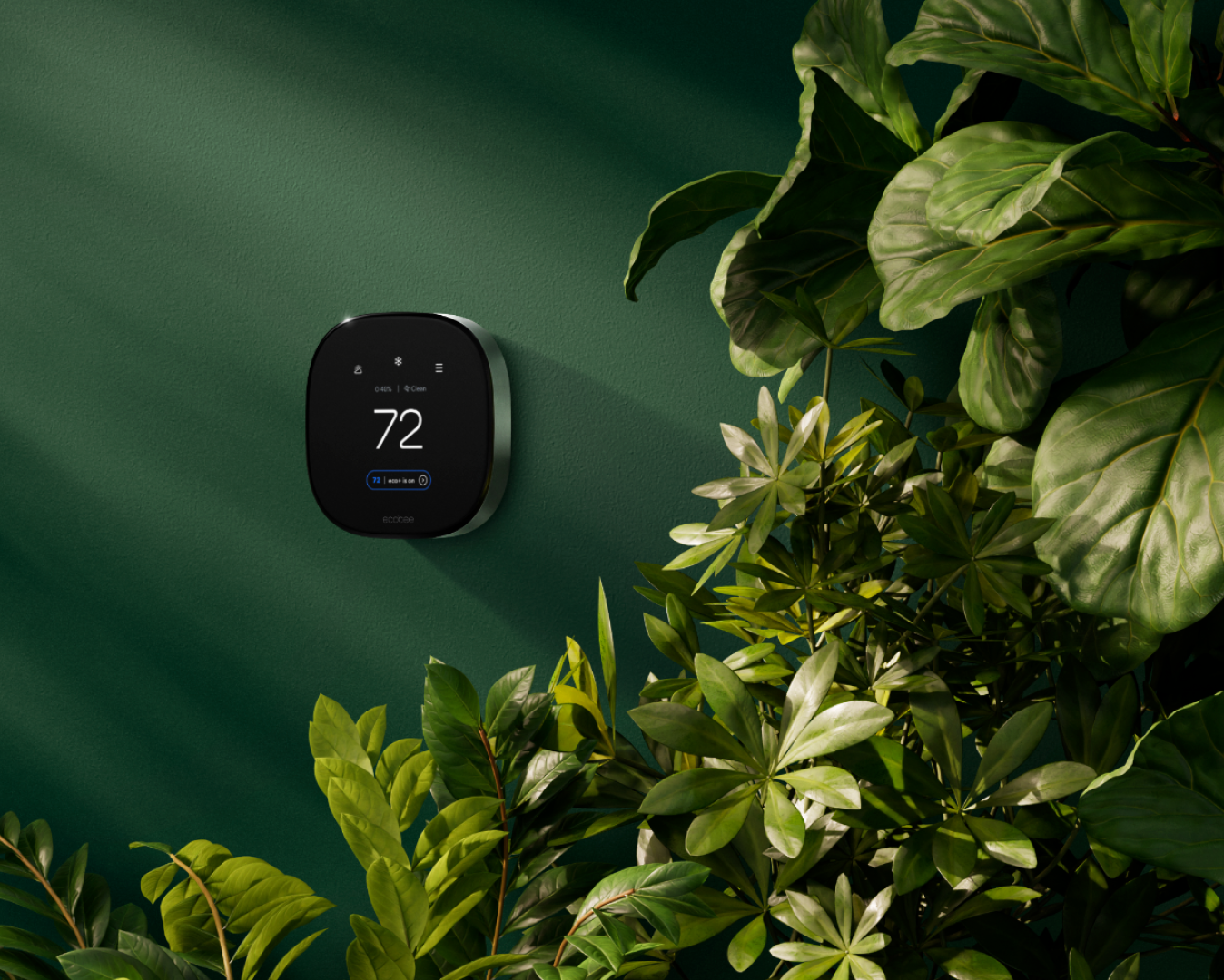 an ecobee thermostat on a green wall with plants