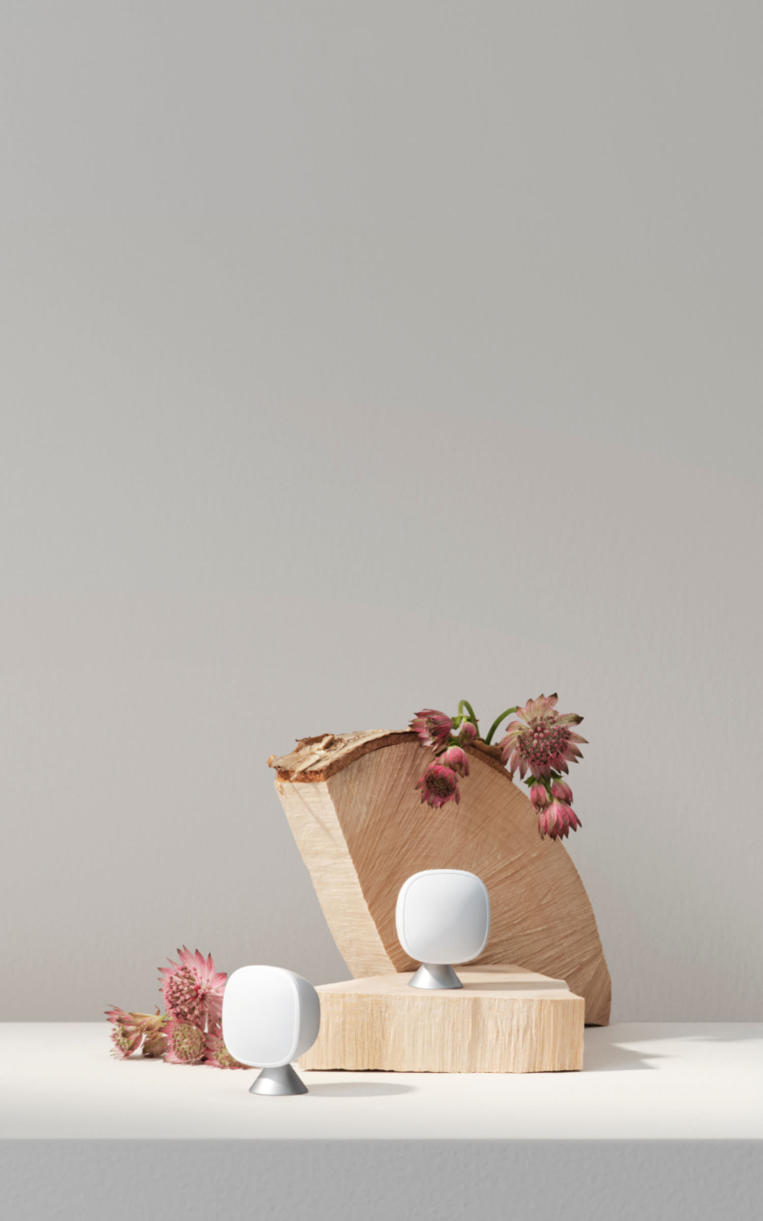 Two SmartSensors in still life scene with wooden blocks and dried flowers on grey background.
