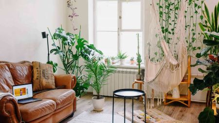 How to Create the Ideal Environment for Your Plants | ecobee