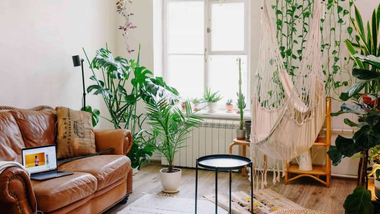 Daylight-filled living room with hammock and plants.