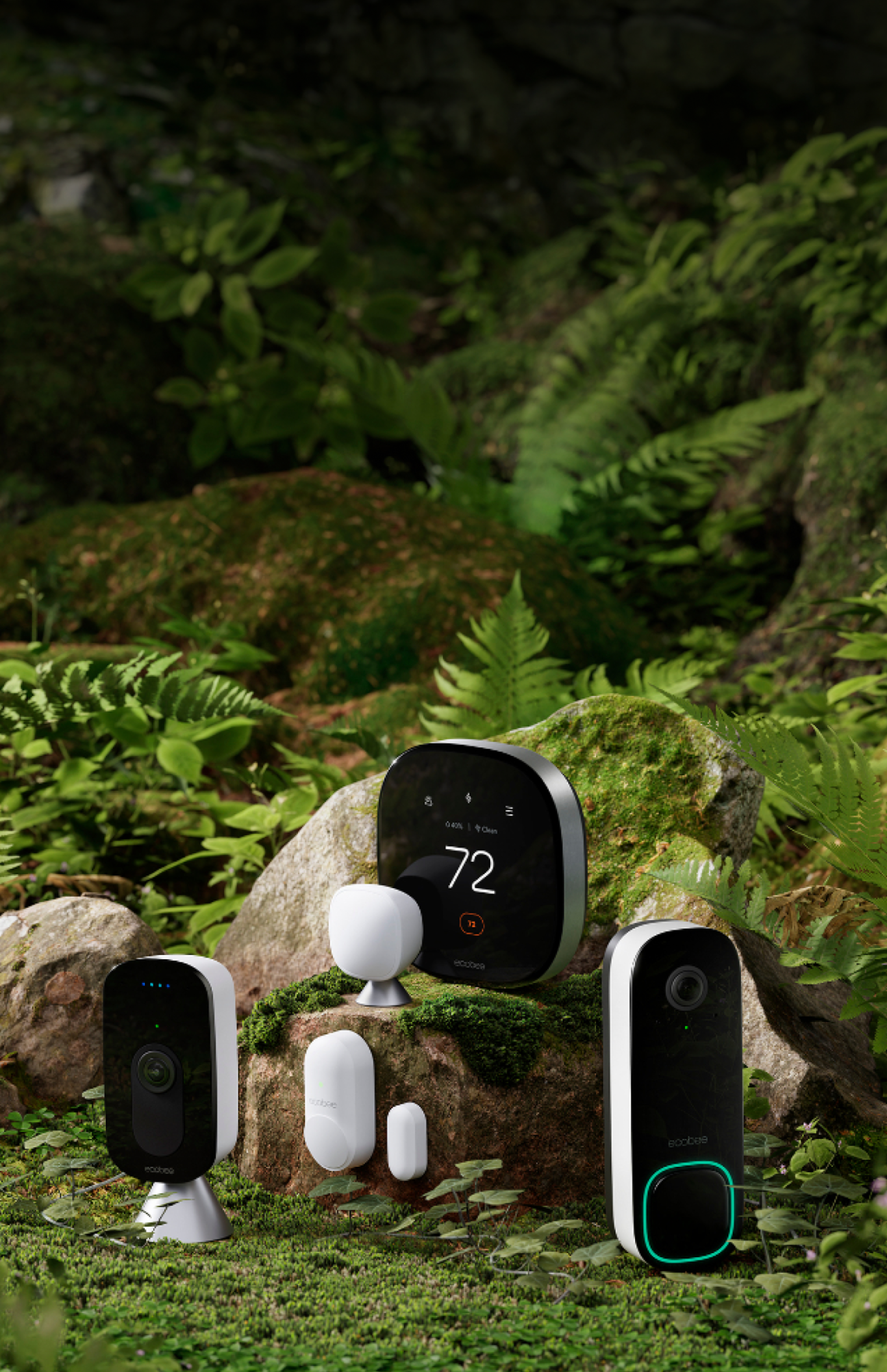 ecobee products in a forest