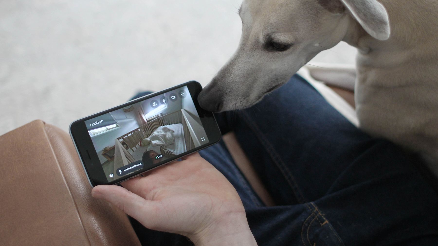 See Why Smartcamera Is A Newborn Necessity Ecobee Citizen See Why Smartcamera Is A Newborn Necessity Ecobee Citizen