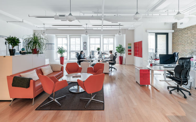 The orange upholstery, the dark brown rugs, plants, light natural wood floors, and white walls in this modern office are the perfect blend of materials and tones, bringing harmony to this modern open concept office. 