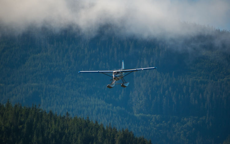 Plane flying over sceneries.