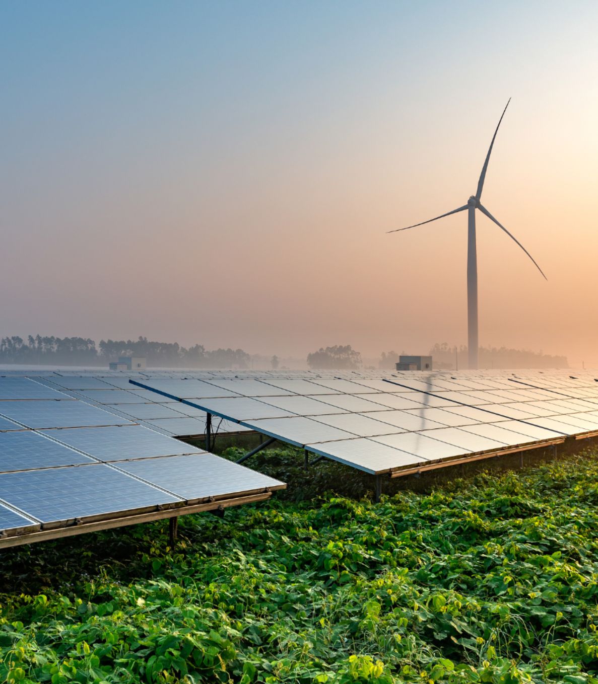 Solar panel field with a wind turbine in the background during sunrise. 