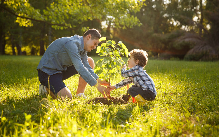 Father and son planting a tree.