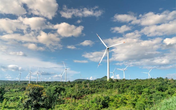 Image of wind turbines in the day