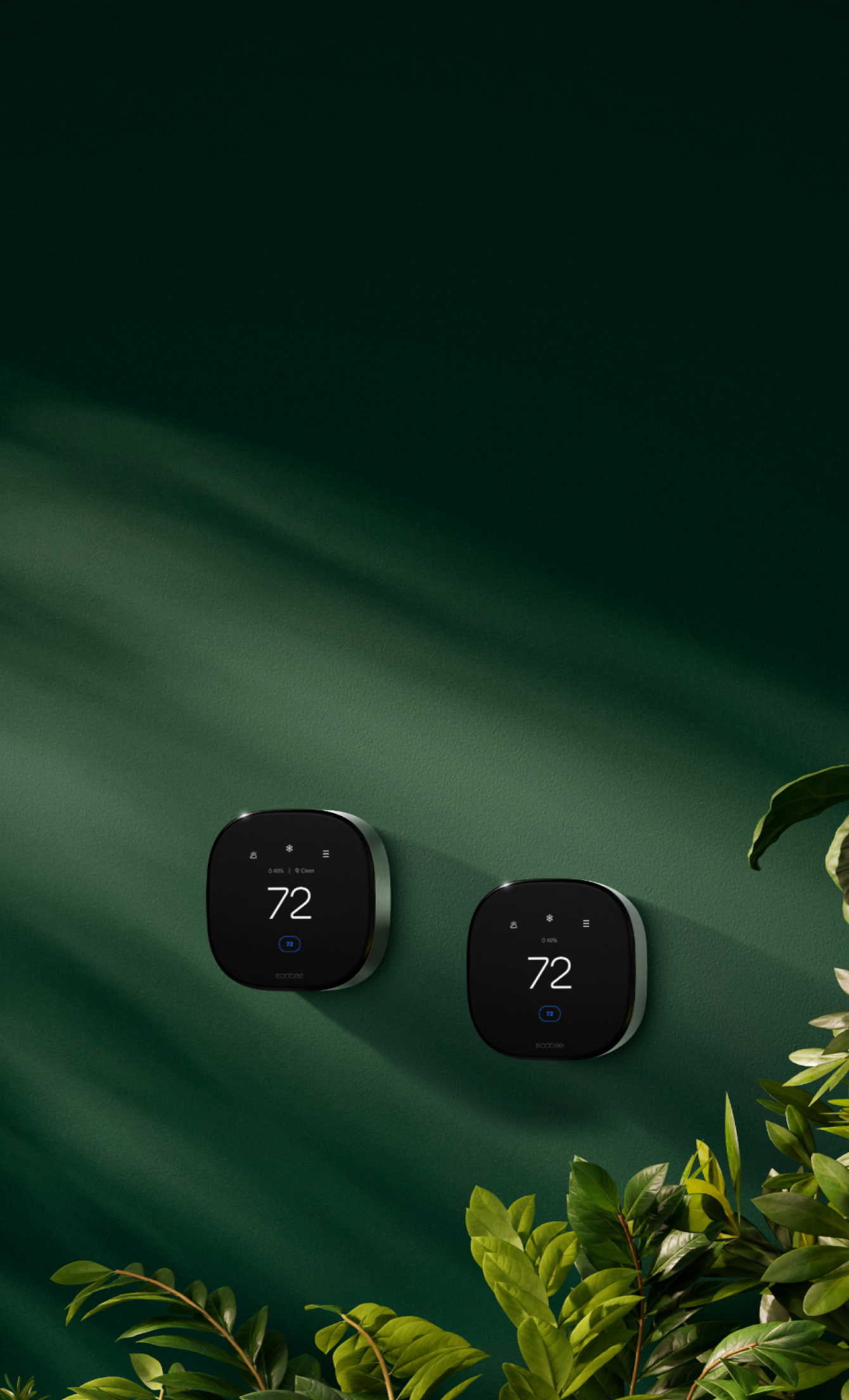 ecobee thermostats on a green wall