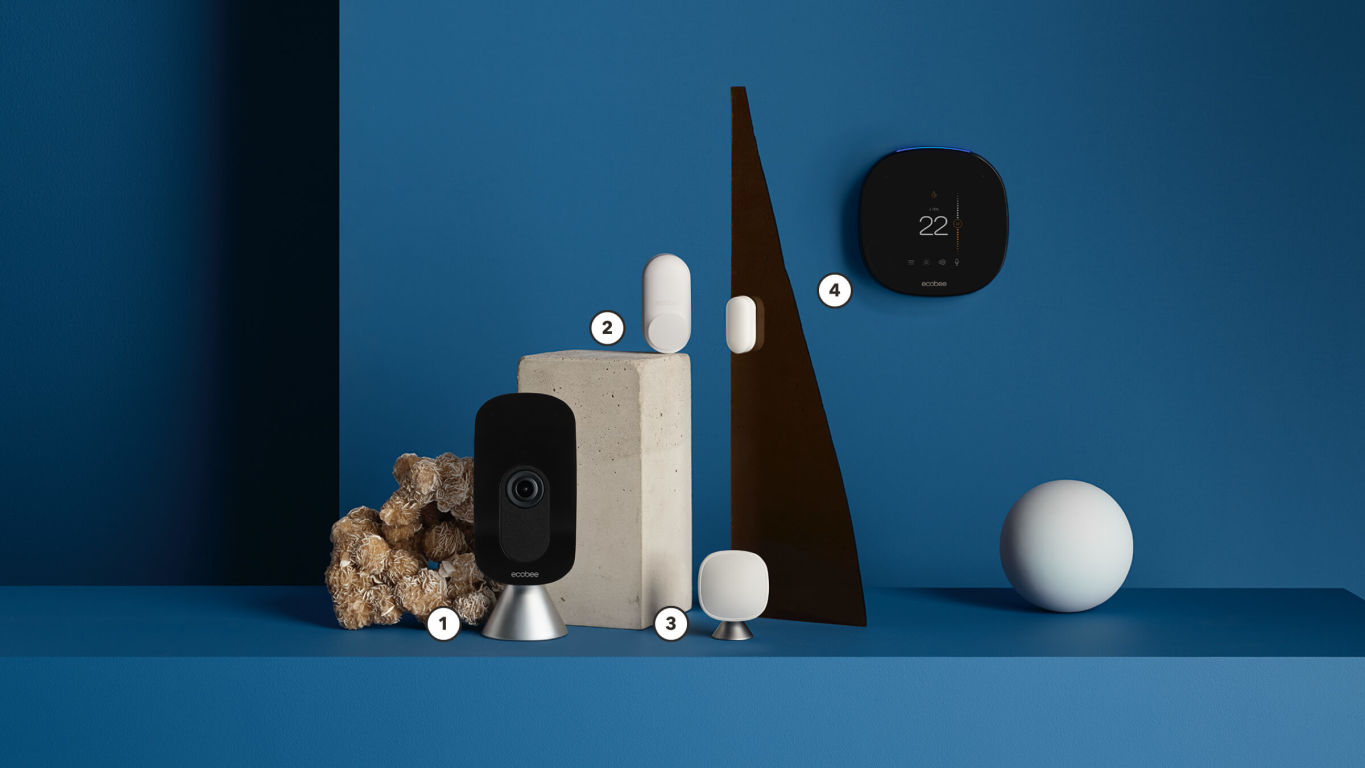 smart camera smart thermostats and smart sensors in a product array.