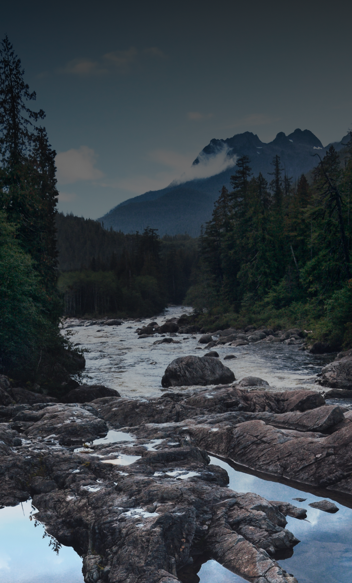A tranquil image of a river winding through a coniferous forest with cloud shrouded mountains in the distance. 
