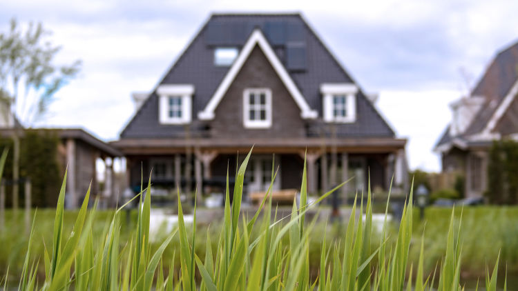 A house with grass growing in front of it.