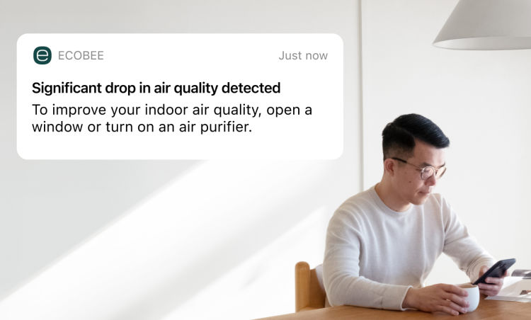 Person sitting at table looking at phone; a notification from the ecobee app says "Significant drop in air quality"