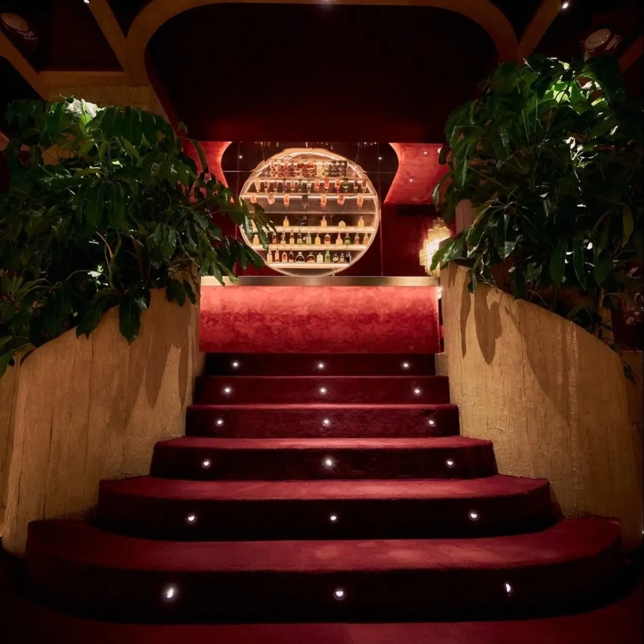Escalera alfombrada de Grace, con iluminación suave y un bar al fondo, creando un ambiente elegante y exclusivo.