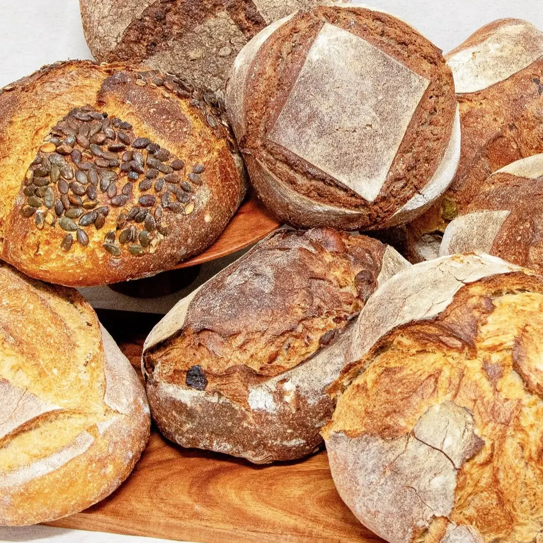 Variedad de panes artesanales con cortezas rústicas, algunos con semillas y otros de centeno, dispuestos sobre una tabla de madera en una composición cálida y natural.