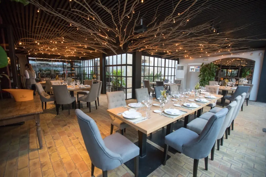 El  elegante comedor de Mauro con mesas de madera clara y sillas acolchadas, ambientado con luces cálidas y ramas decorativas en el techo. Amplios ventanales rodean el espacio, creando un ambiente acogedor y sofisticado.