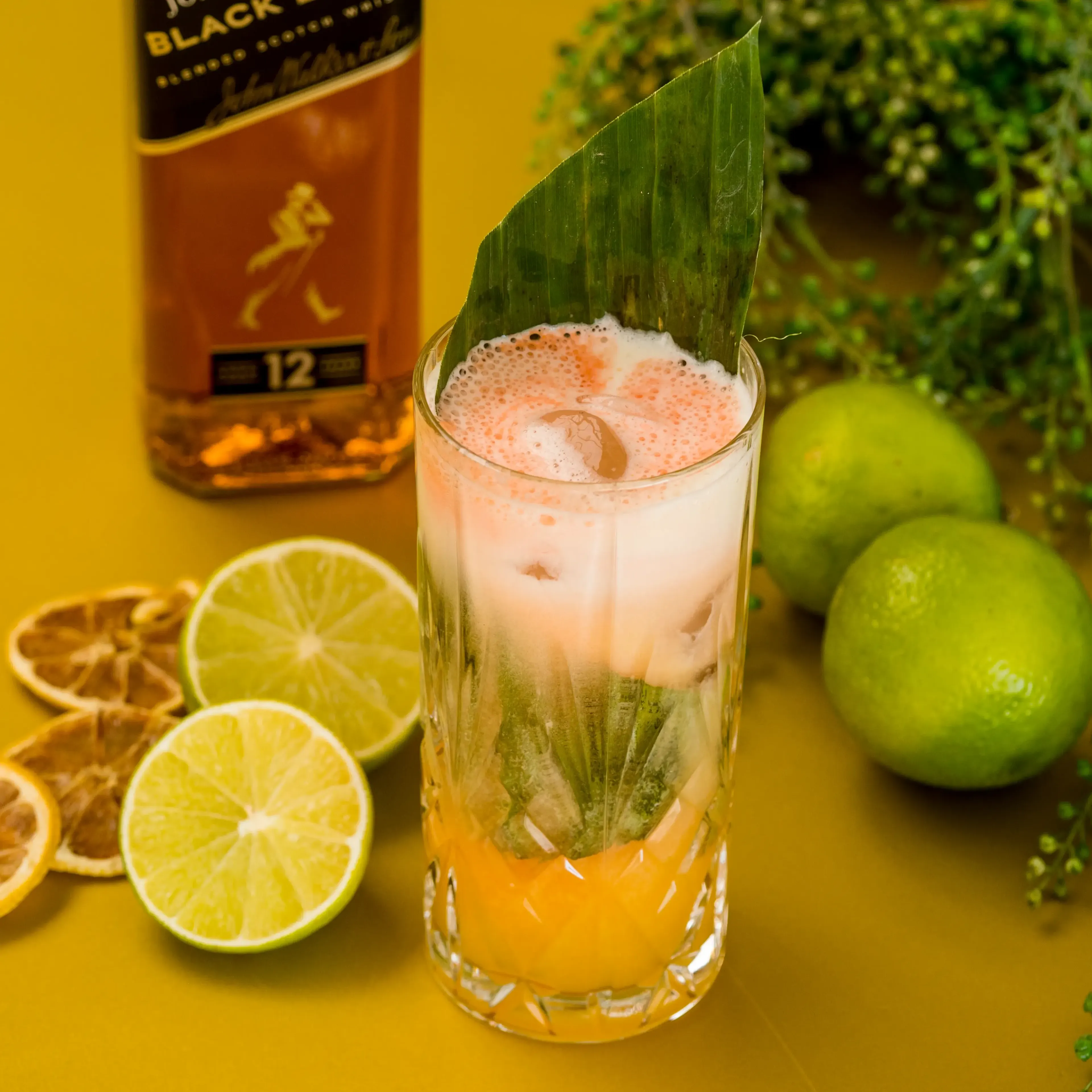 JOHNNIE JUNGLE