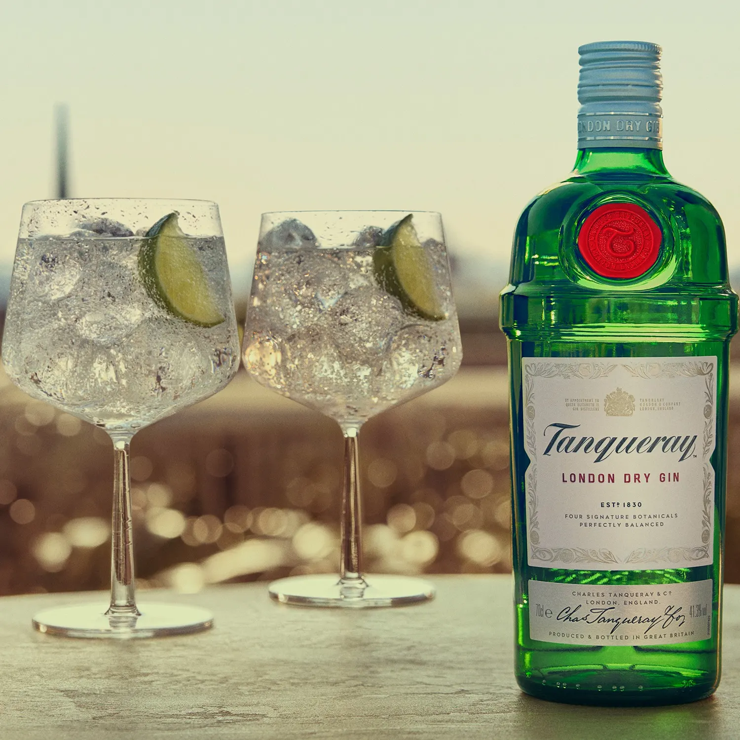 Gin Tanqueray London Dry Botella