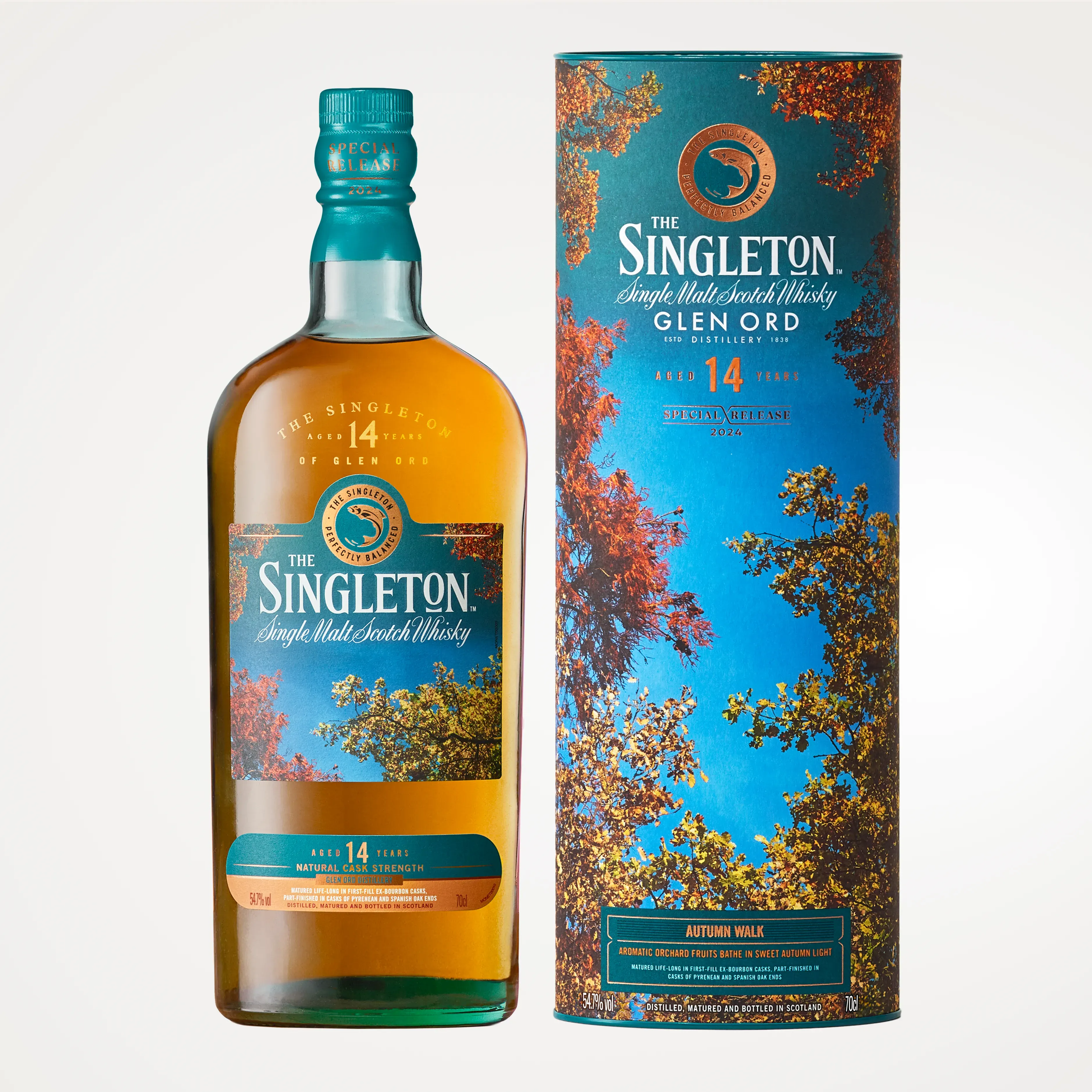 singleton special 2024