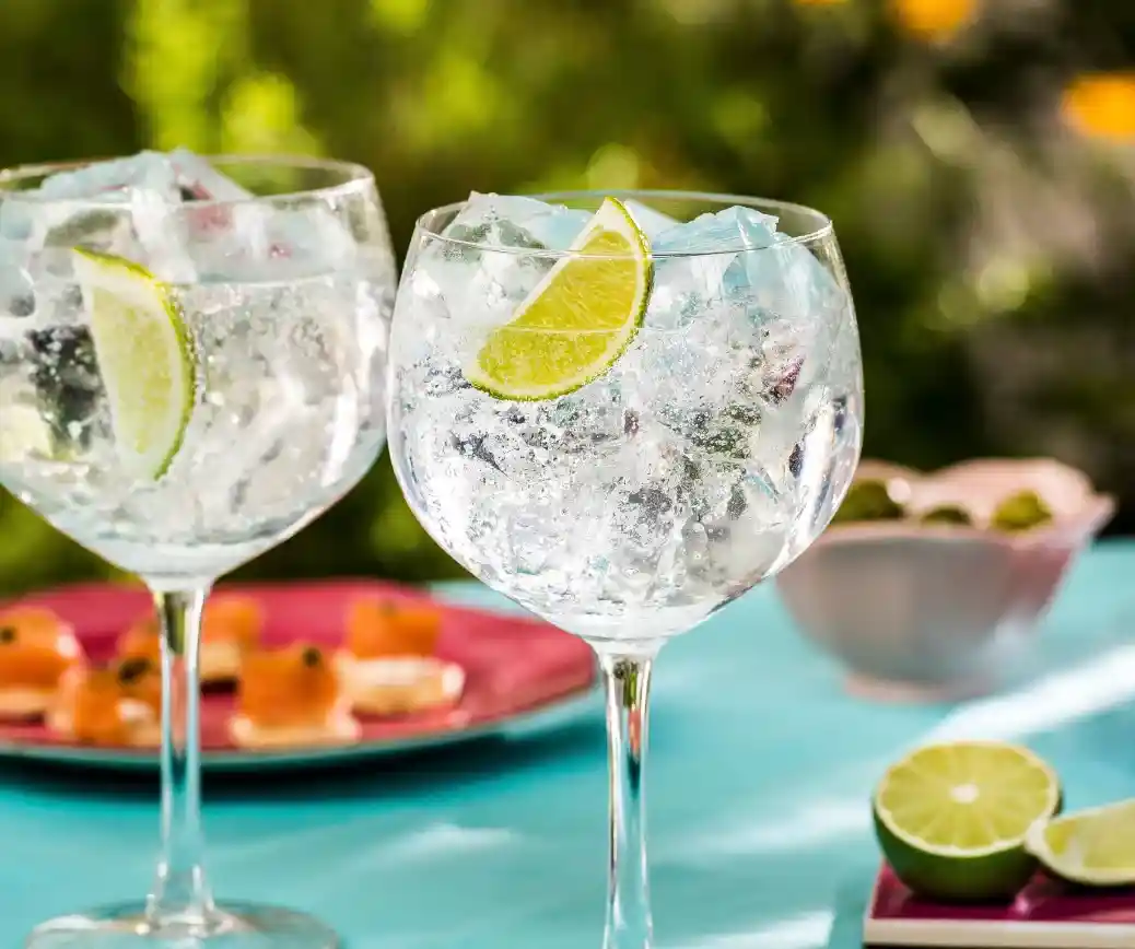 DÍA DE LA GINEBRA