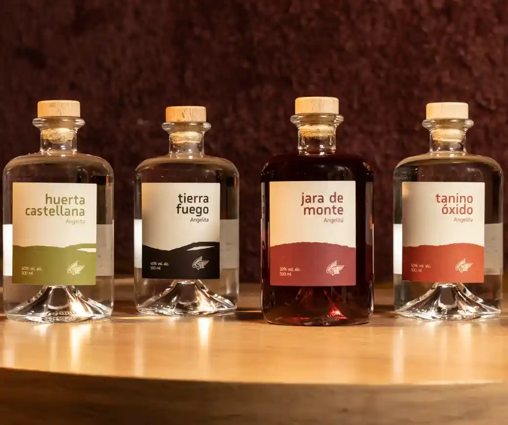 Entrevista Mario Villalón