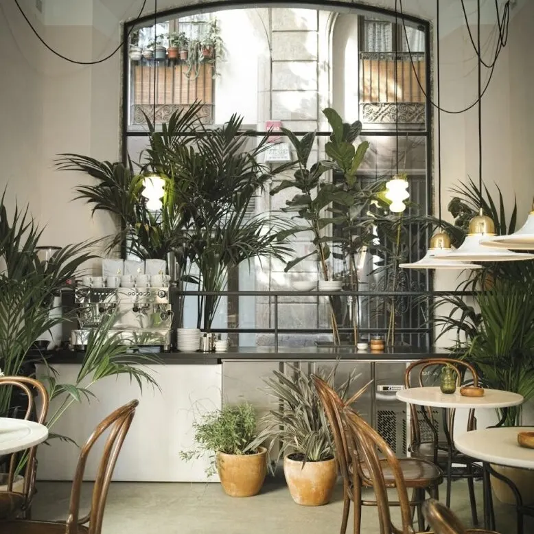 Café interior con mesas redondas, sillas de madera, plantas decorativas y luz suave en ambiente moderno y acogedor.