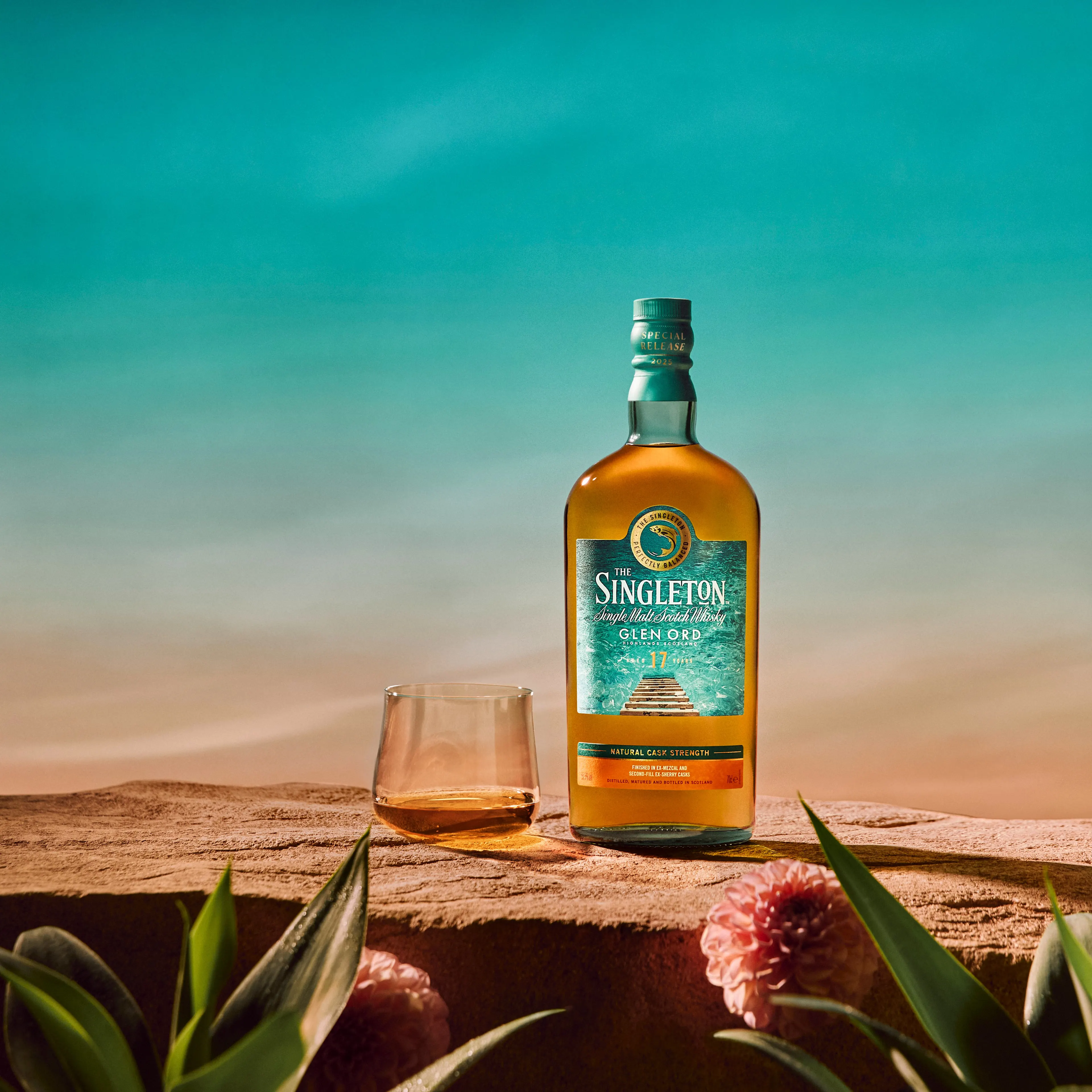 The Singleton Special Release 2025 - regalar