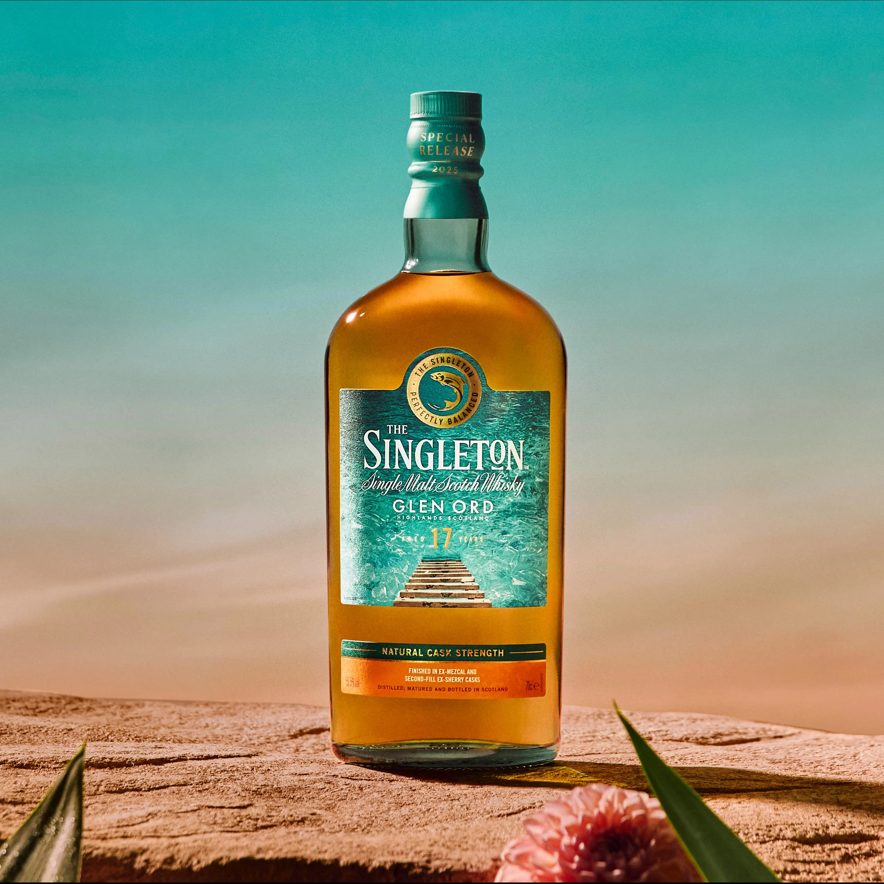 The Singleton Special Release 2025 - historia