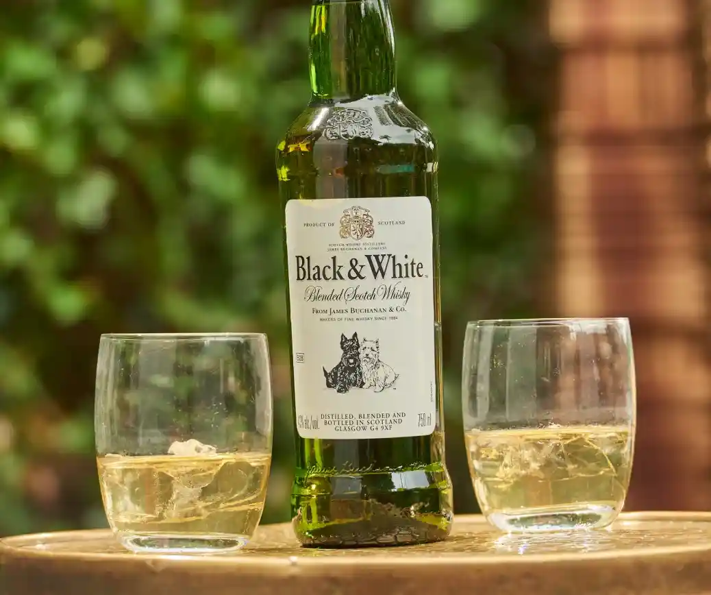 Art. Black & White precio