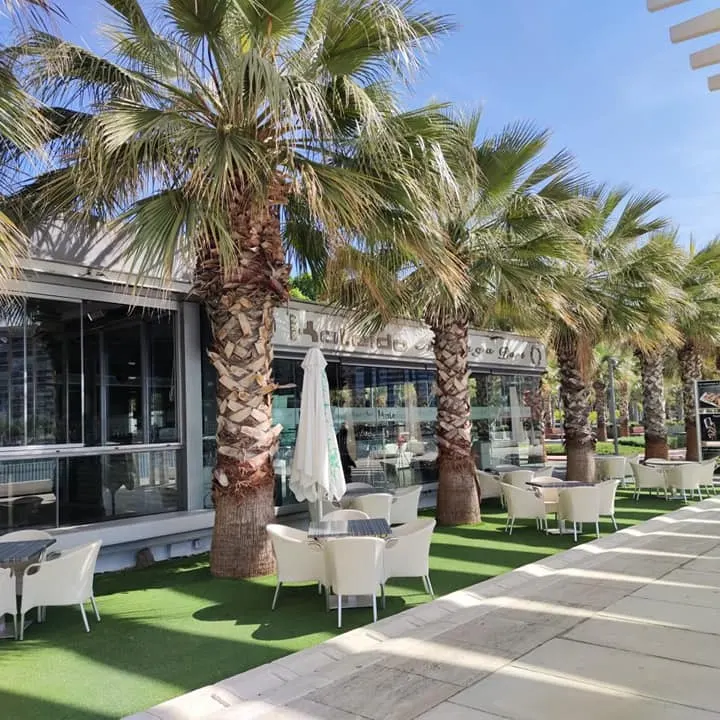 Terraza al aire libre en Kaleido Málaga Port con mesas, sillas blancas y palmeras alineadas, en un entorno soleado junto al paseo marítimo.
