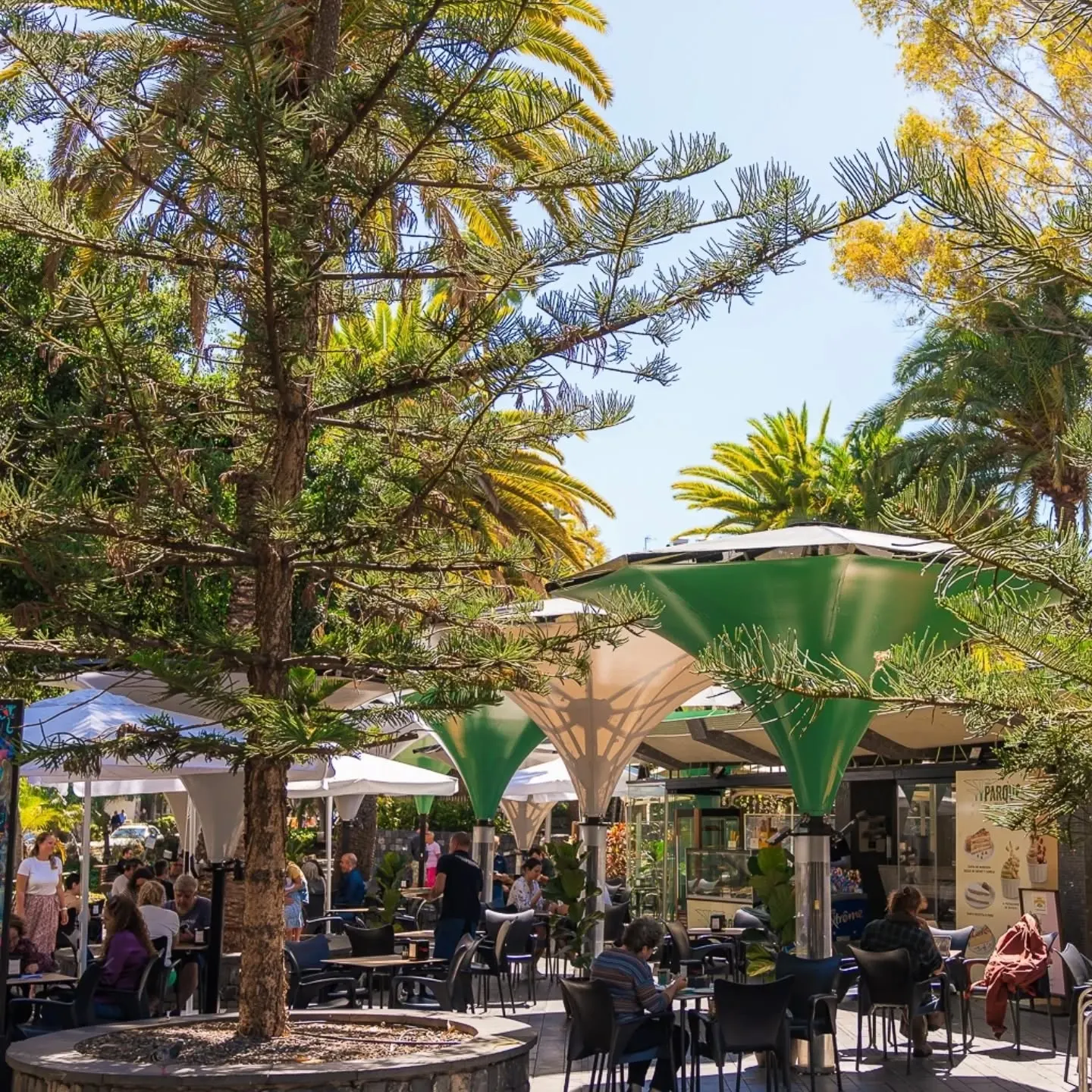 Terraza al aire libre en Terraza Parque, rodeada de árboles y palmeras, con mesas bajo sombrillas modernas y ambiente relajado.