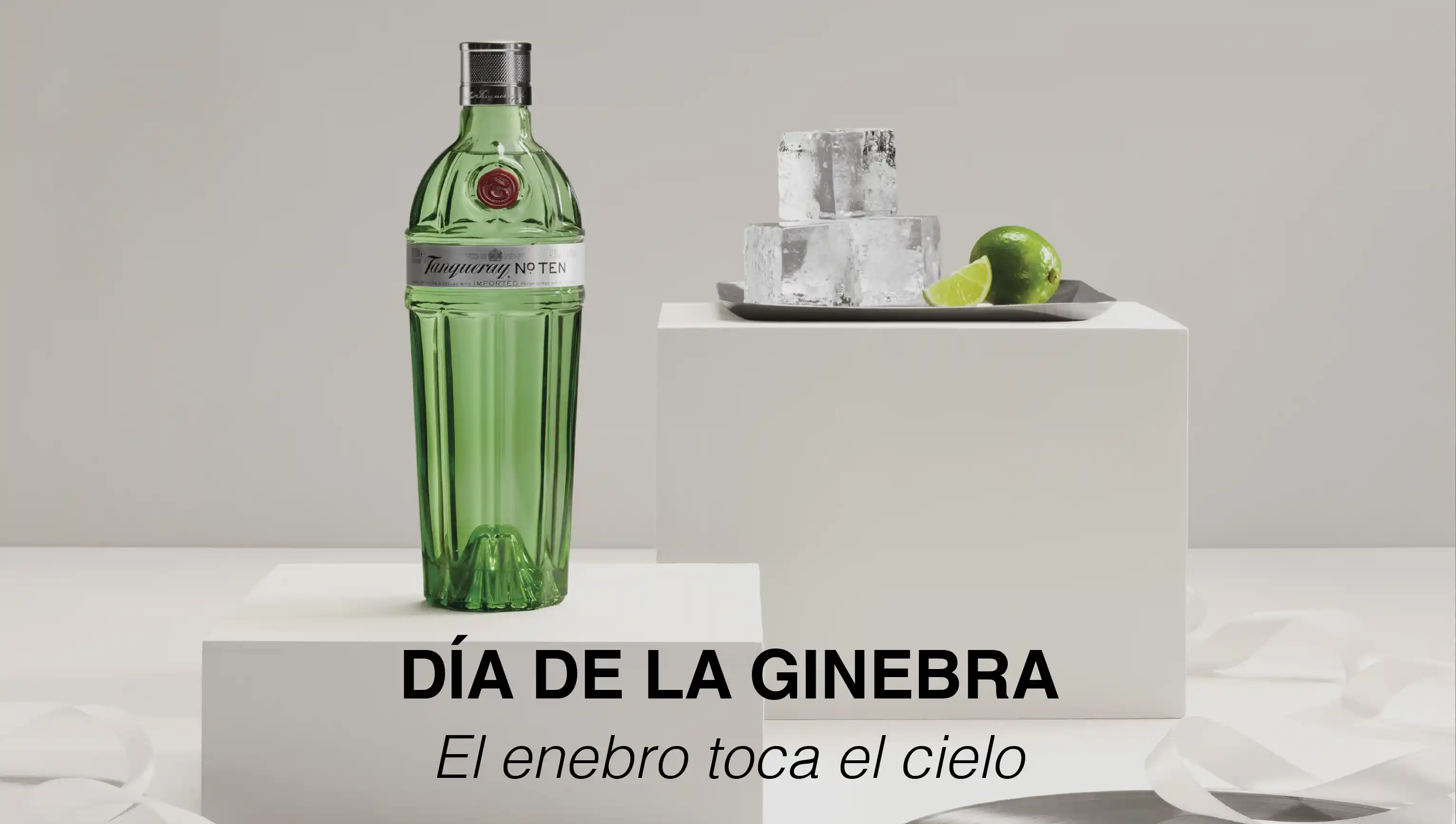 Hero carousel - slide - dia de la ginebra