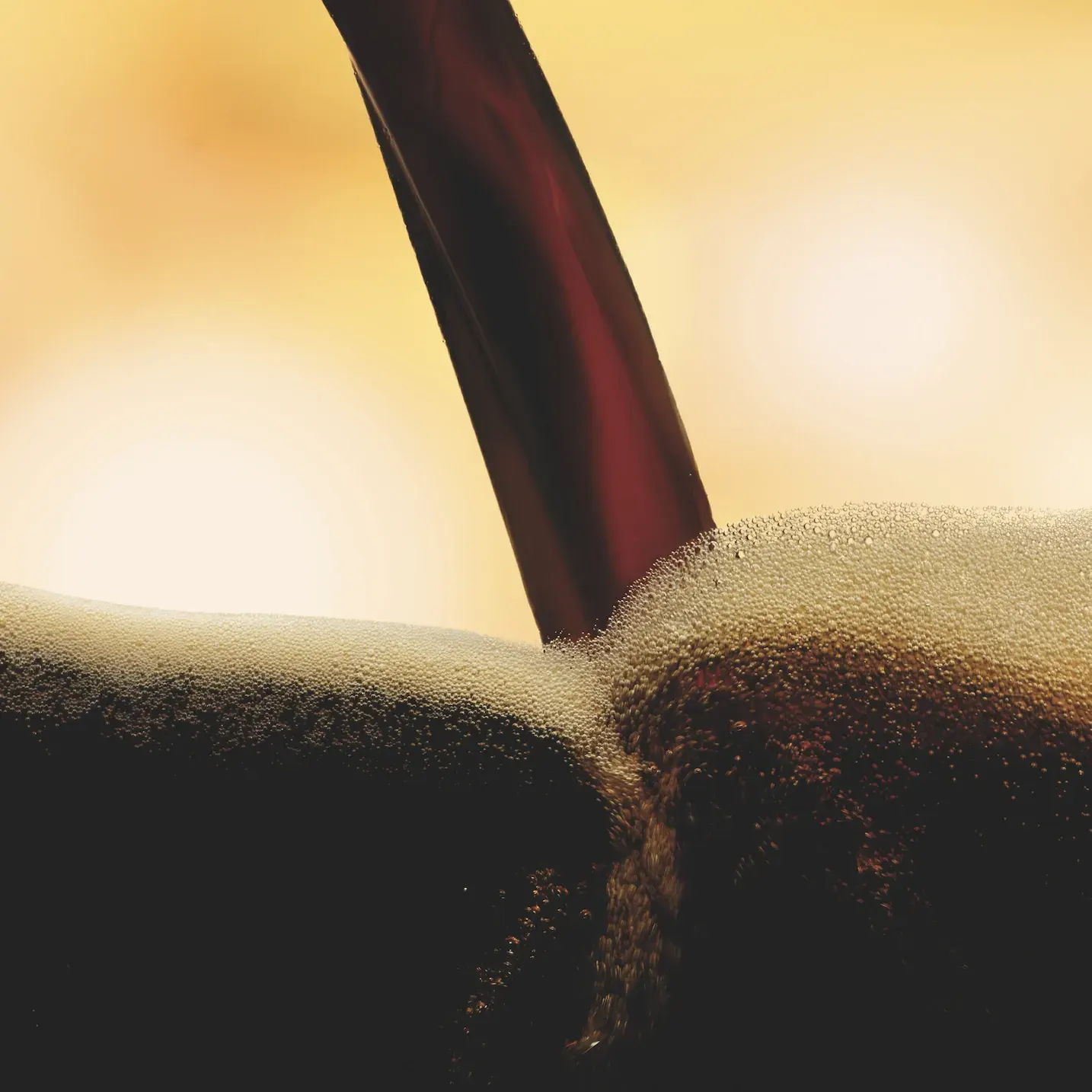 Día Mundial de la Cerveza