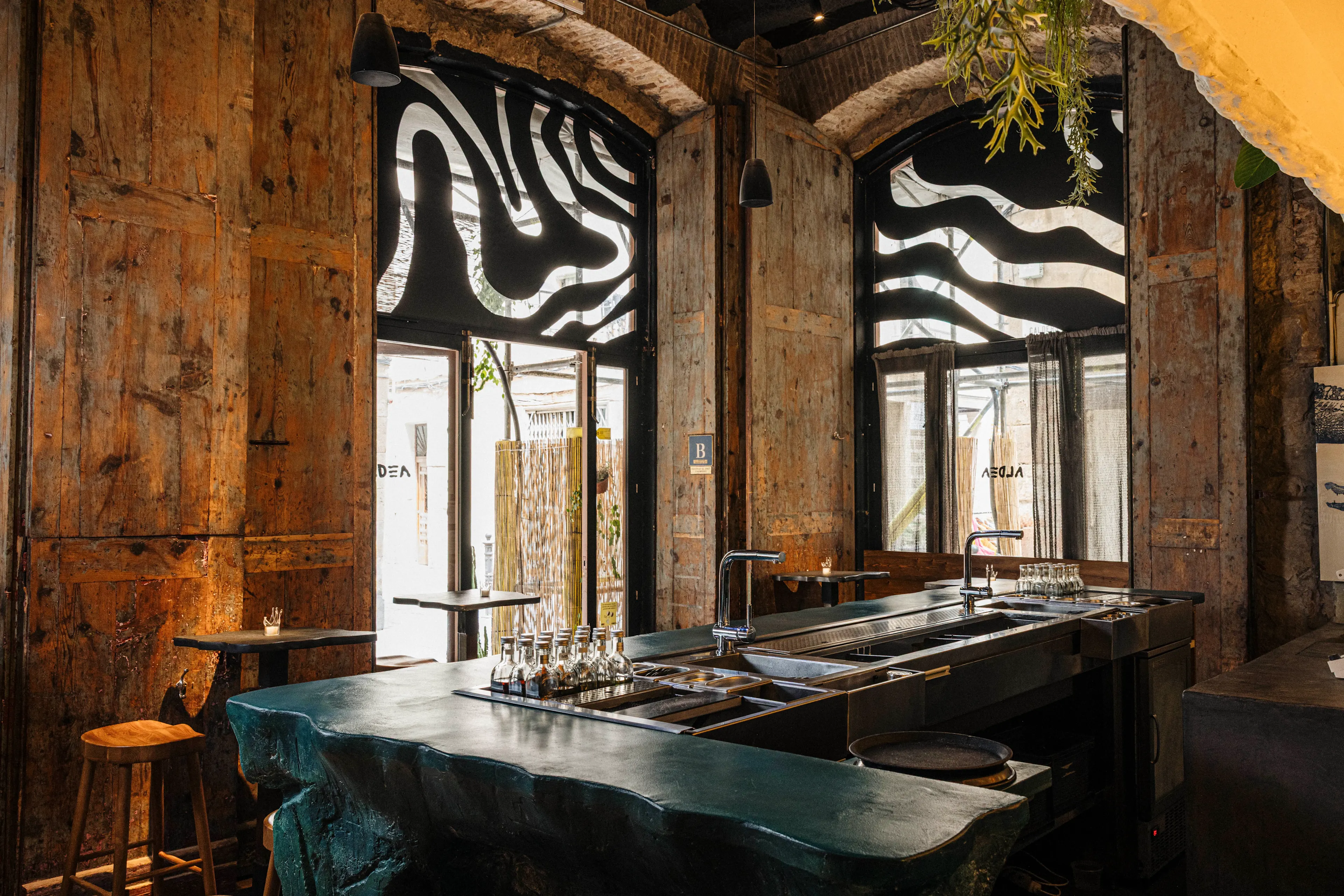 Entrevista Silvia Dorninger 