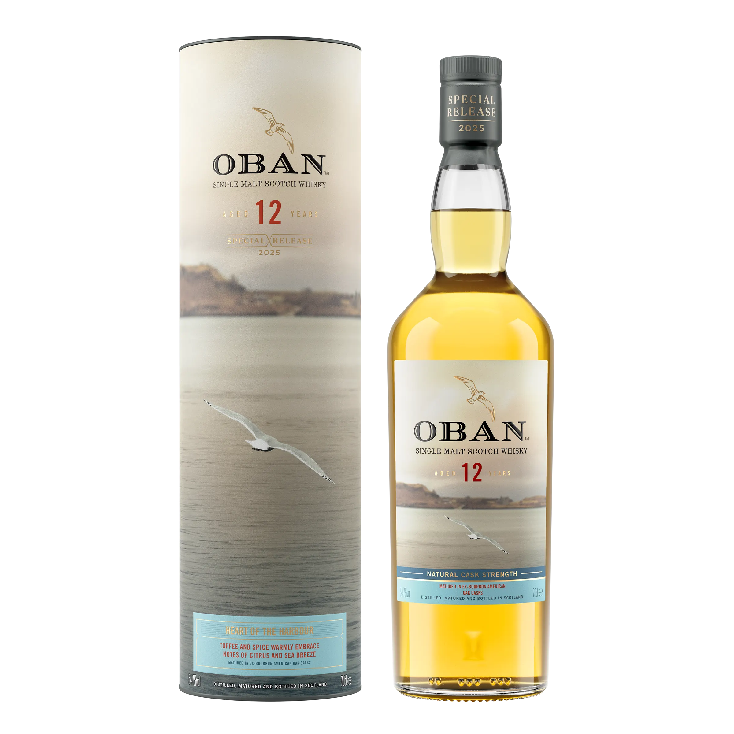 Oban 12YO