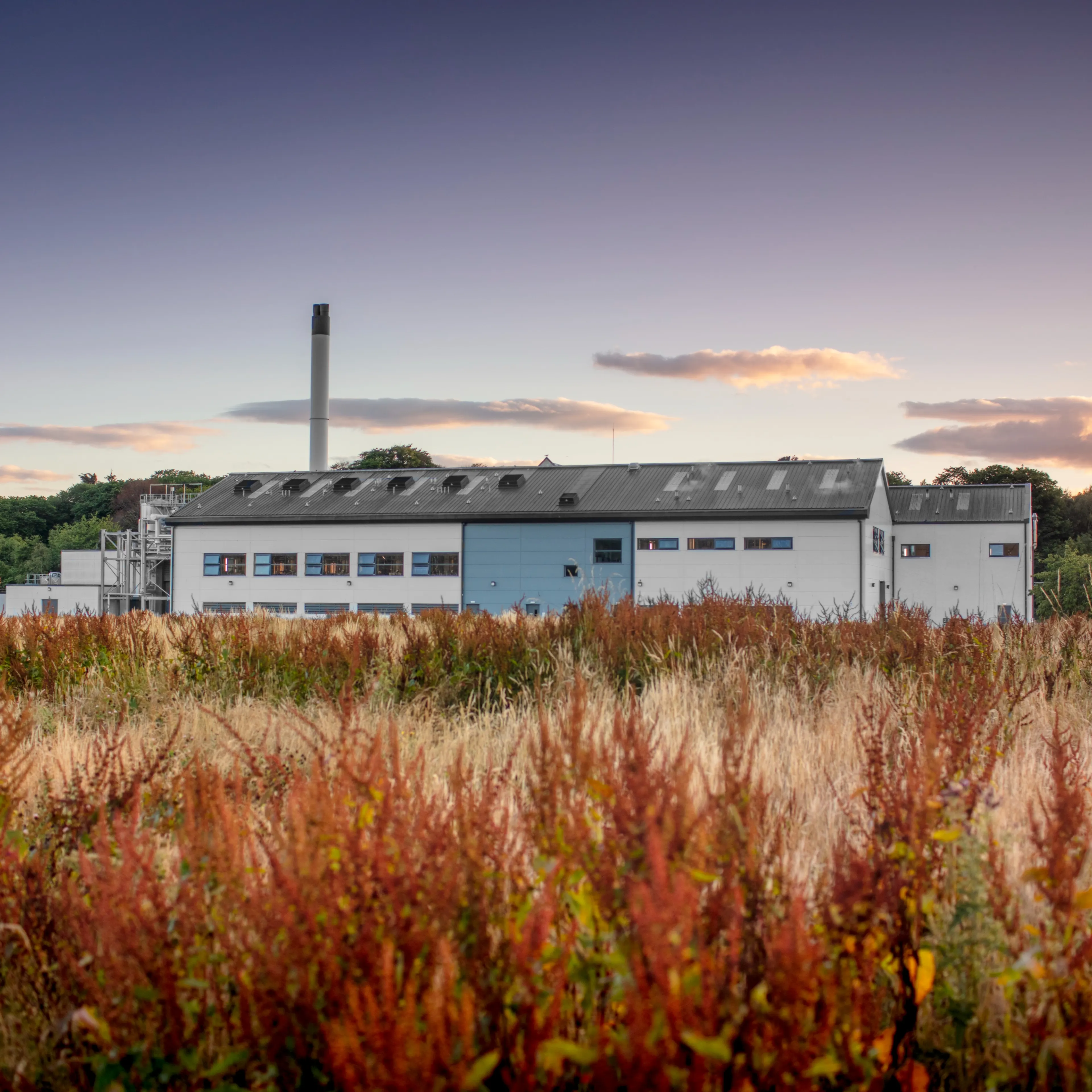 Teaninich - historia