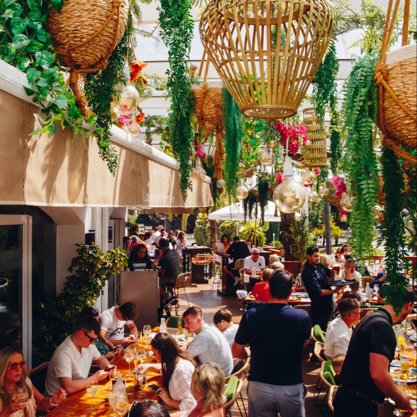 La Sala Banús con ambiente vibrante y lleno de estilo, hermoso diseño lleno de plantas colgantes, ideal para disfrutar de una comida al aire libre.