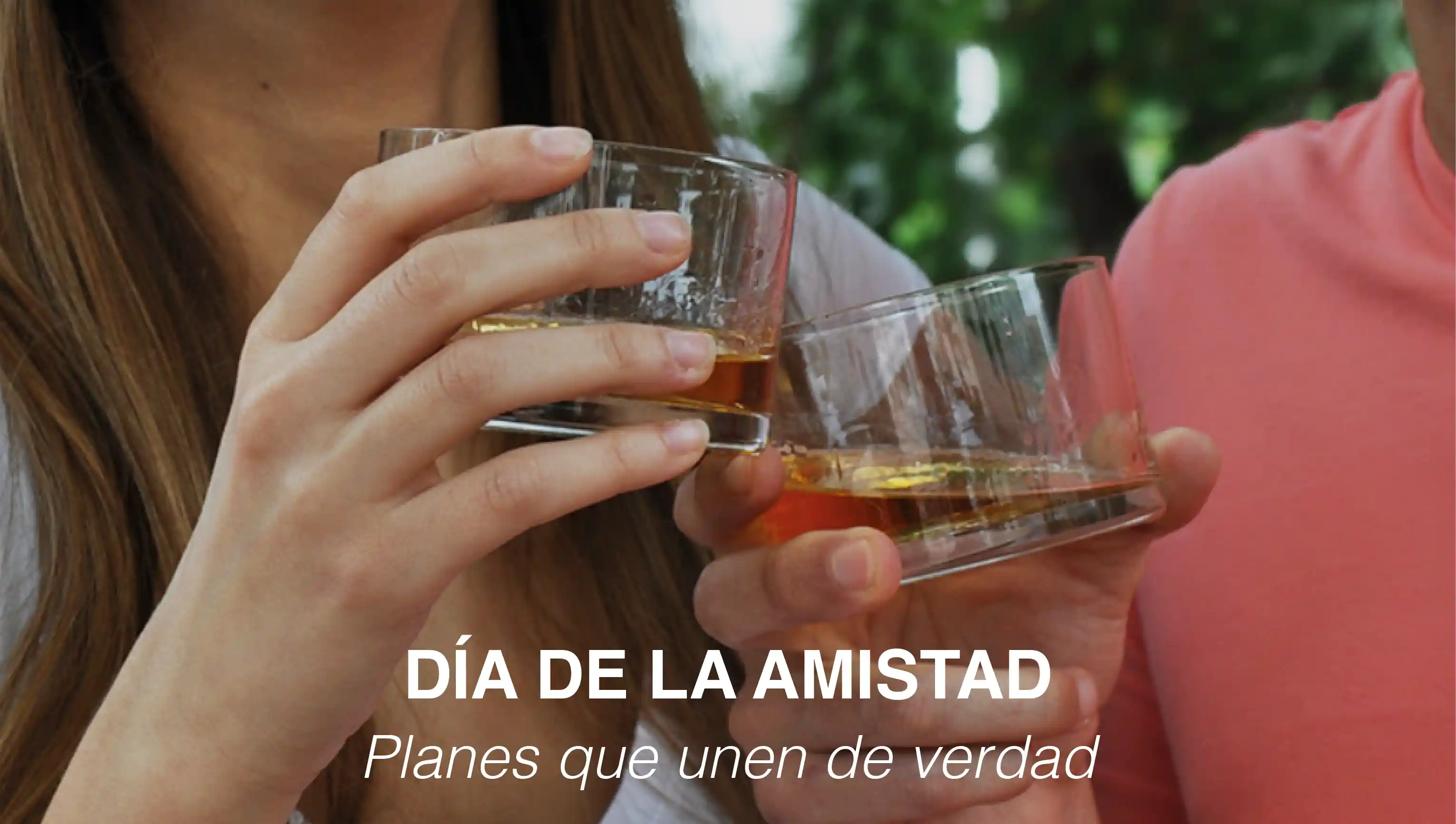 Dia de la amistad