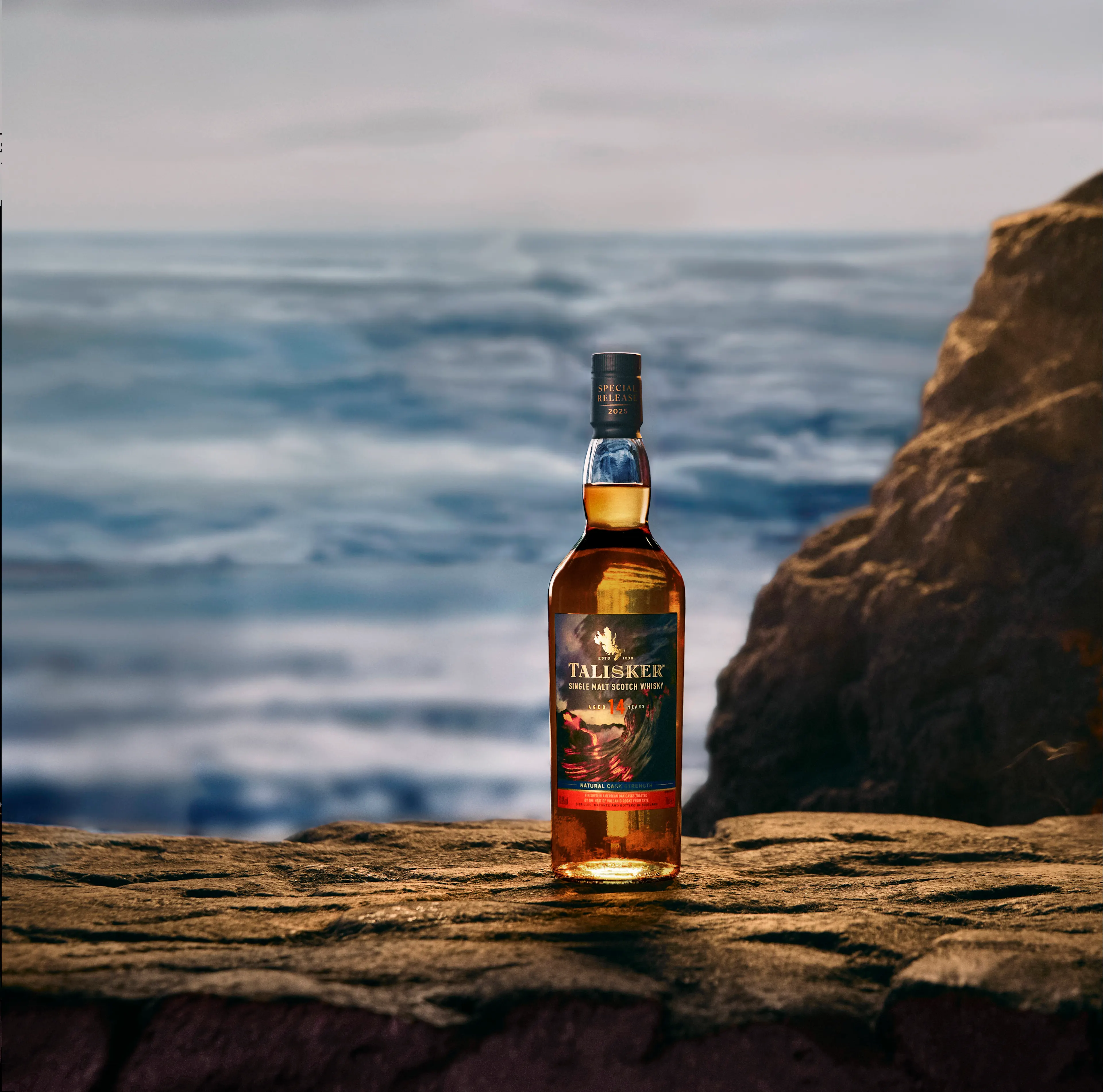 Talisker 14 Year Old