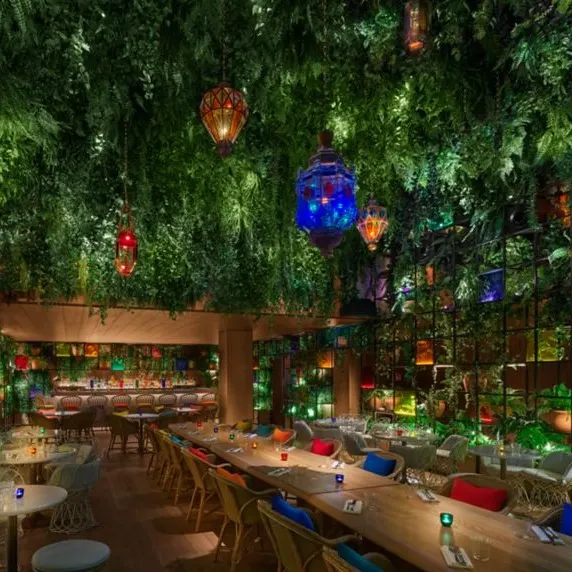 El ambiente vibrante de Oroya en Madrid destaca por su decoración exuberante y colorida, de luces y plantas que crean una atmósfera única.