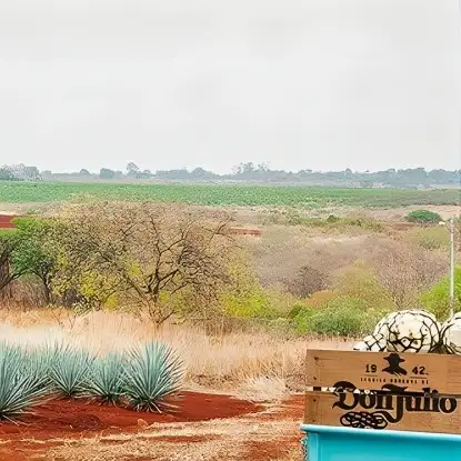 Don Julio