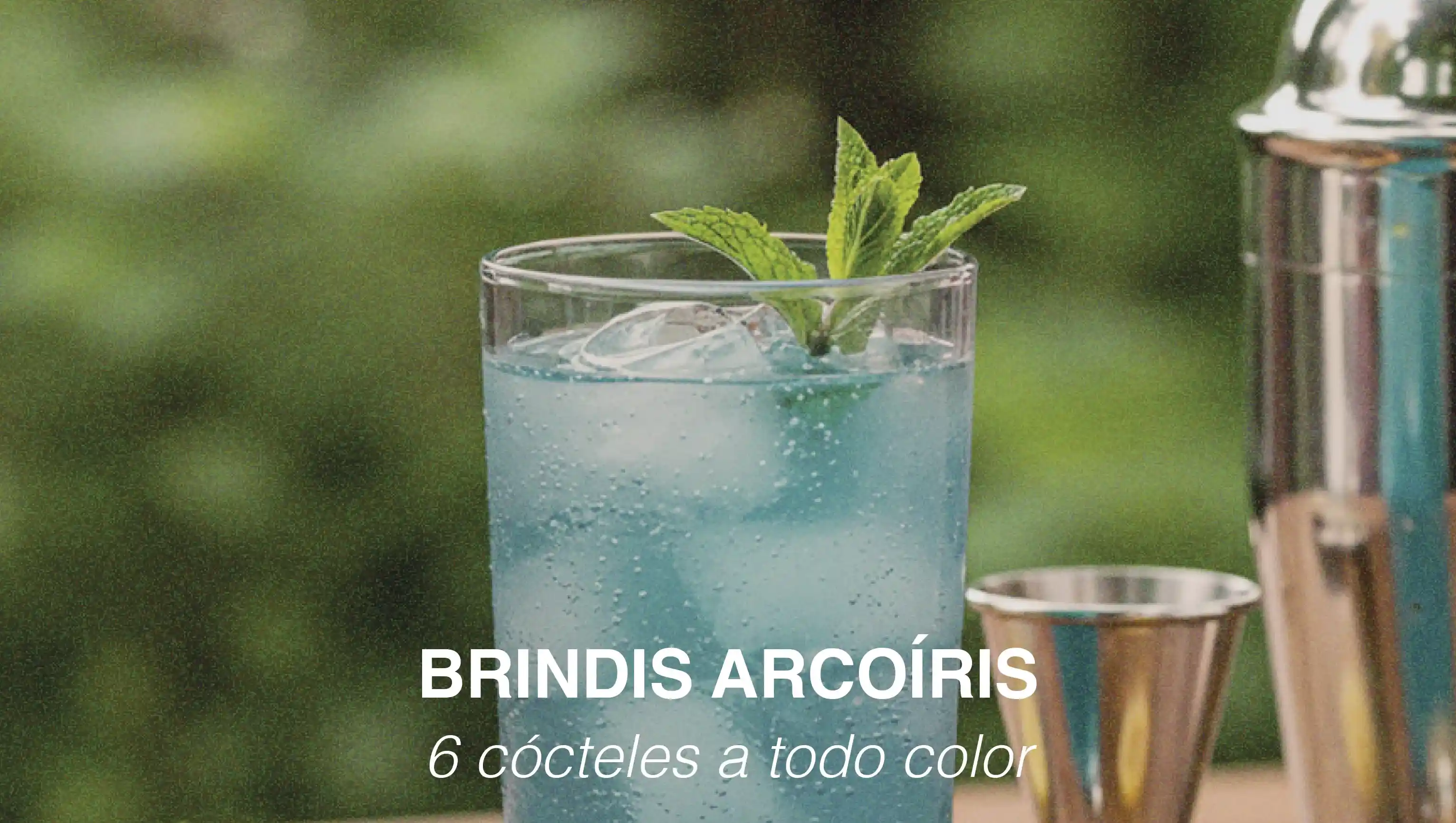 cocteles orgullo