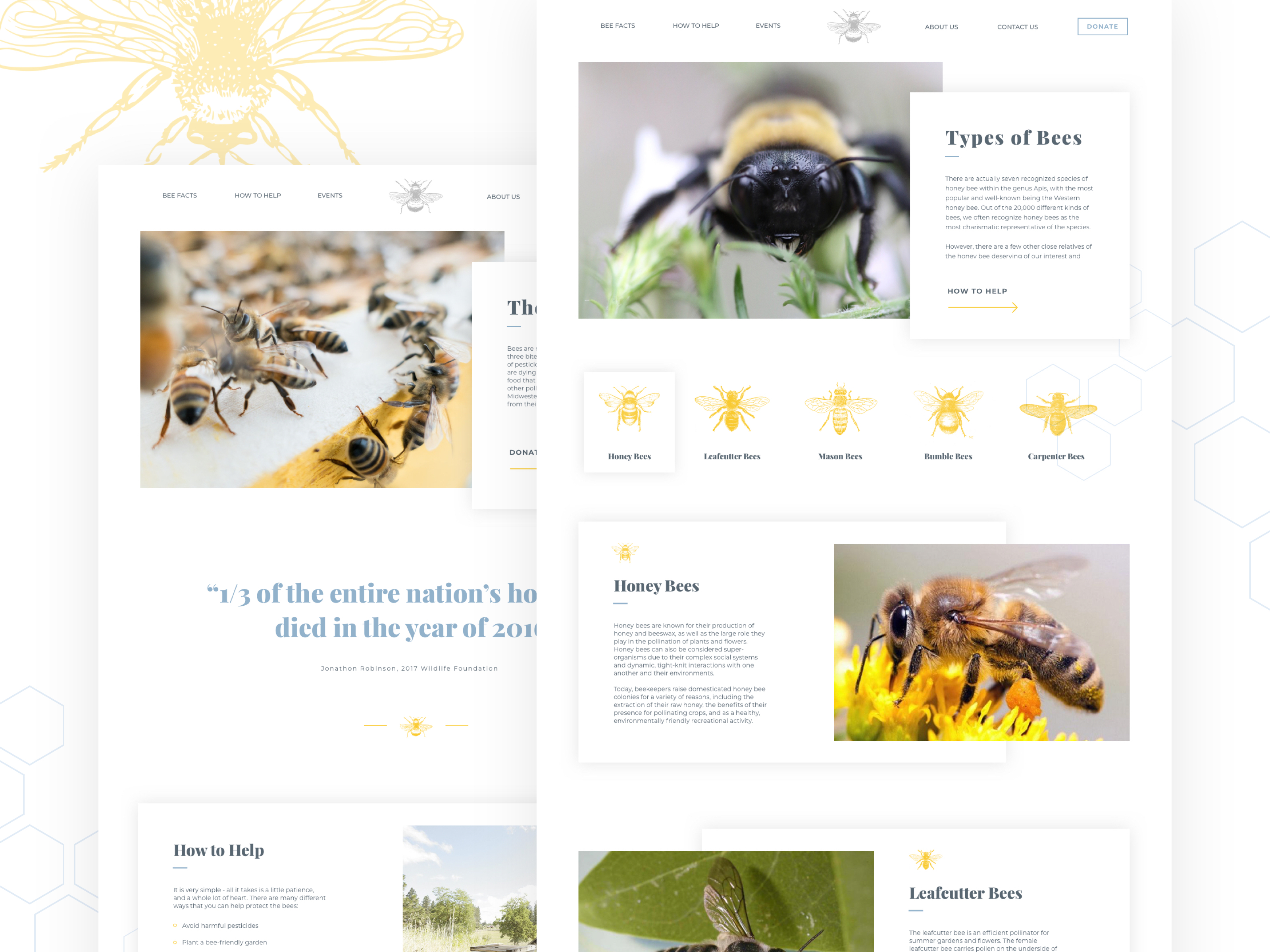 This was a website I designed and coded in VCOM 363. It was a website aiming to spread awareness of endangered bees and how to help stop it. There were two main goals for the website: inform users and get donations. 