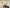 Visit-Griffith---Mayor-Curran