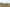 Riverina-Field-Days-1
