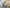 Blood-Donation---Mayor-Curran