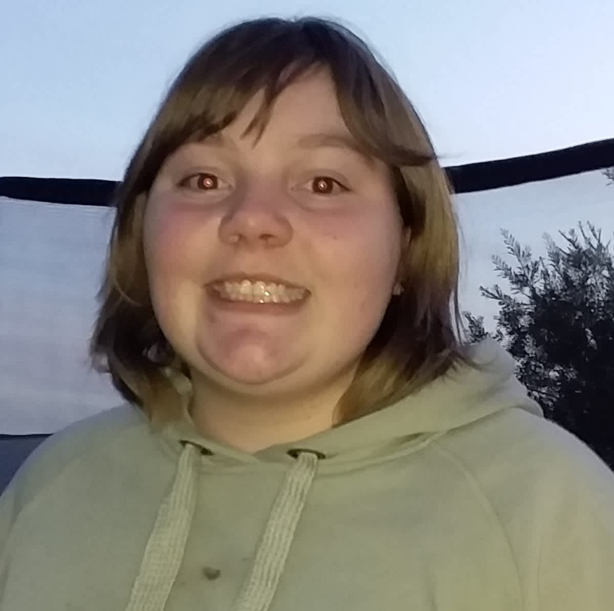 Meet Your Neighbour Christine Favero The Griffith Phoenix