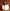 Oumi-K-crop