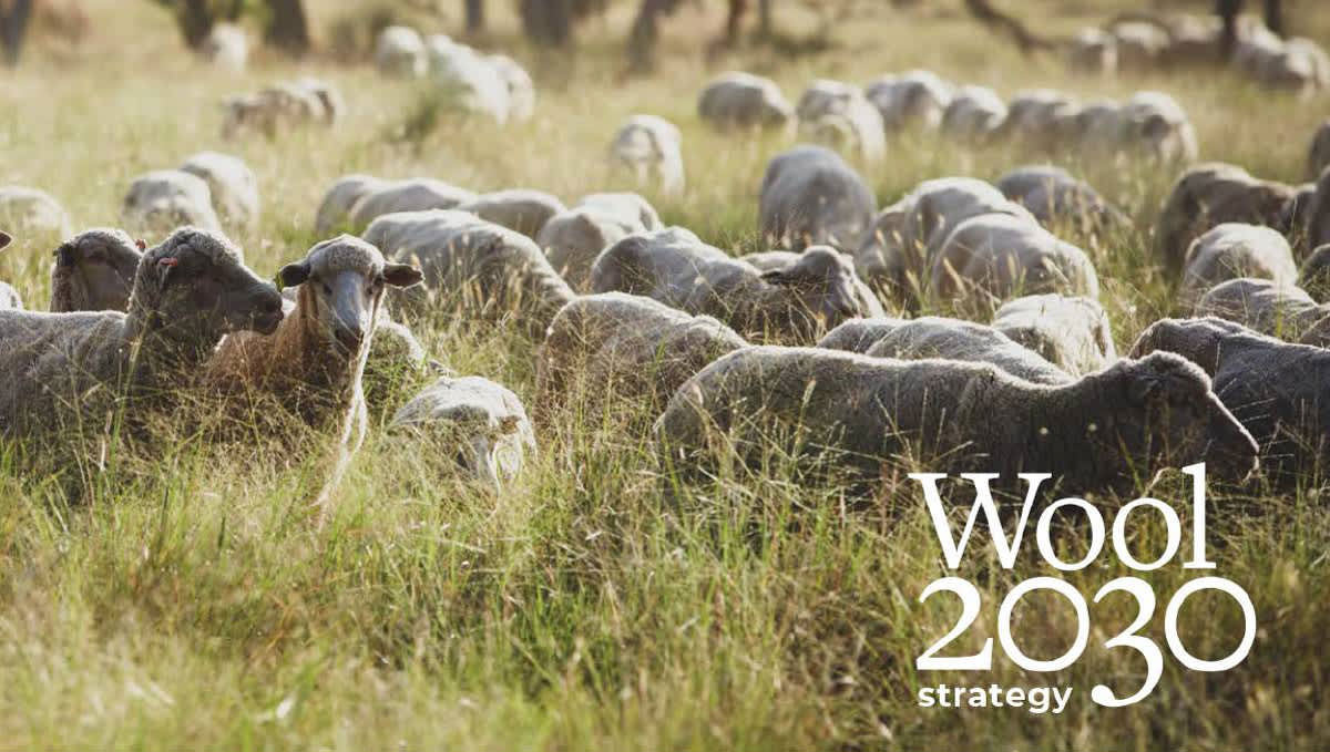 Wool 2030 - Australian Wool: The World’s Premium Sustainable Fibre ...