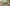 Track-and-field-low-res
