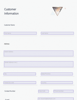Product Survey Form